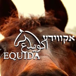 EQUIDA podcast אקווידע
