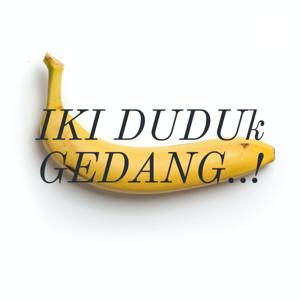 IKI DUDUk GEDANG..!