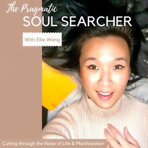 The Pragmatic Soul Searcher