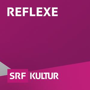Reflexe