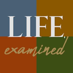 Life Examined