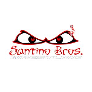 Santino Bros Wrestling Academy