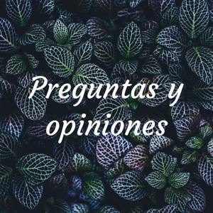 Preguntas y opiniones