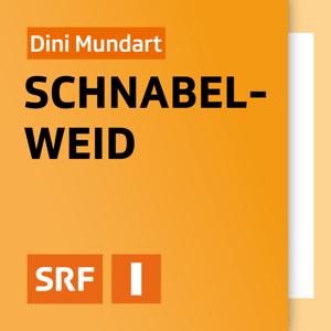 Dini Mundart - Schnabelweid by Schweizer Radio und Fernsehen (SRF)