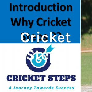 Cricket Steps