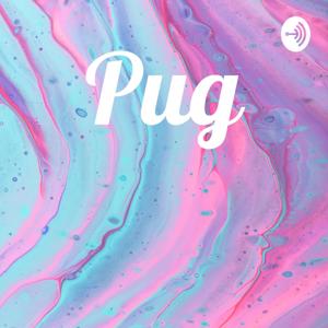 Pug by pug crack