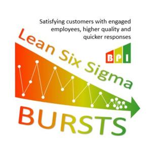 Lean Six Sigma Bursts by Brion Hurley