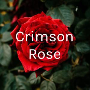 Crimson Rose