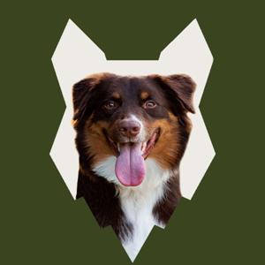 Fenrir Australian Shepherd Podcast