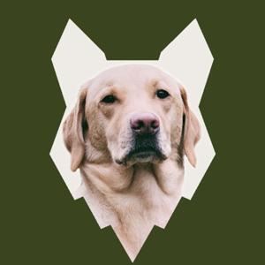 Fenrir Labrador Podcast