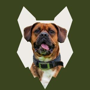 Fenrir Boxer Podcast