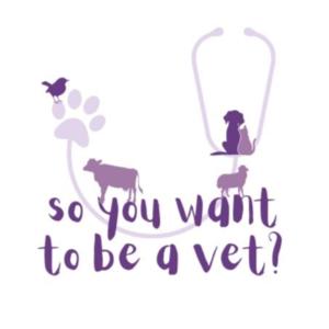 So You Want To Be a Vet? by Erin Burnett