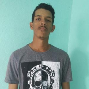 Vencedores Por Opção