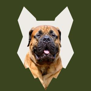 Fenrir Bullmastiff Podcast