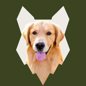 Fenrir Golden Retriever Podcast