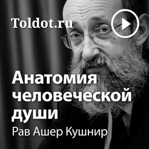 Рав Ашер Кушнир  — Анатомия человеческой души by toldot.com