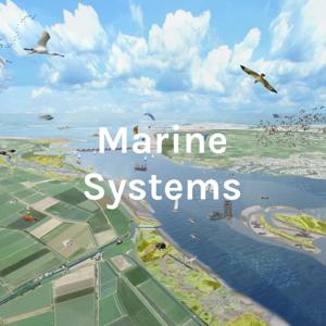 Marine Systems - Haringvliet excursion