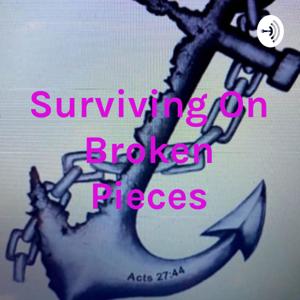 Surviving On Broken Pieces