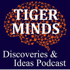 Tiger Minds