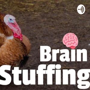 Brain Stuffing