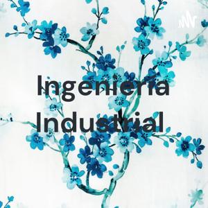 Ingeniería Industrial