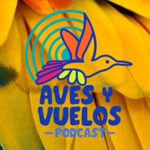 AVES Y VUELOS