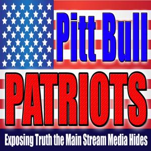 Pitt Bull Patriots