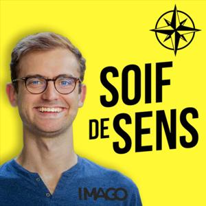 Soif de Sens by Pierre Chevelle