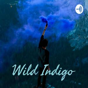 Wild Indigo