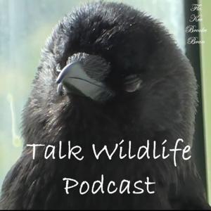 Talk Wildlife Podcast