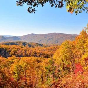 Memoirs of a farmer boy. 
Wellness; Physical, Financial, Environmental, Estate/Trust