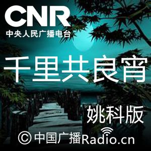 千里共良宵姚科版