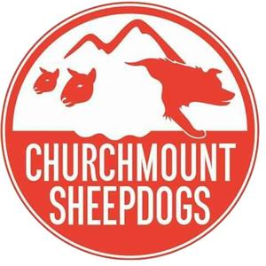 Churchmount Working Sheepdogs by Churchmount Sheepdogs