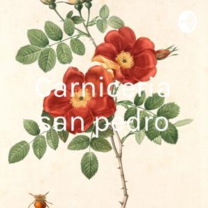 Carniceria san pedro