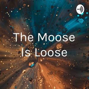 The Moose Is Loose