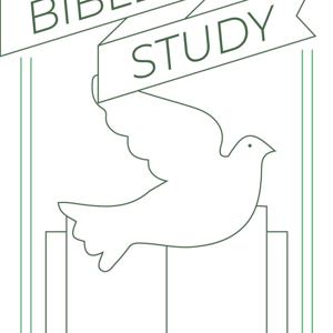 Parkside Green Bible Study