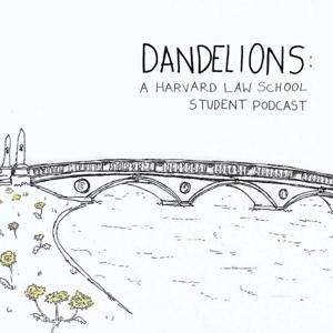 Dandelions: A Harvard Law School Podcast