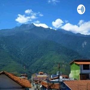El Rollo Que No Cesa