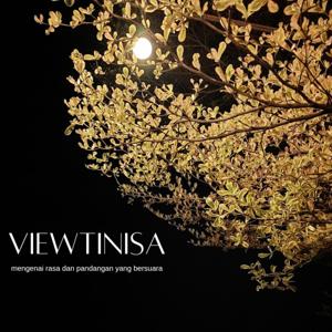 Viewtinisa