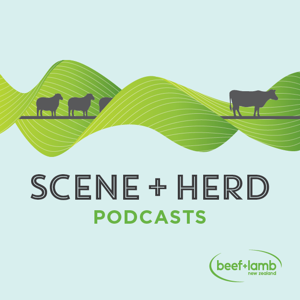 Scene + Herd: Podcasts from Beef + Lamb New Zealand by Beef + Lamb New Zealand