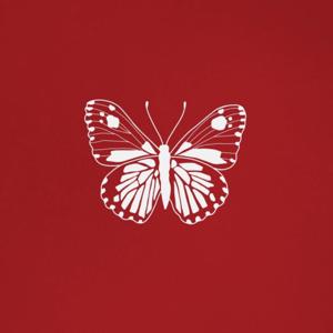 Borboletário: abusos e cicatrizes para além do casulo