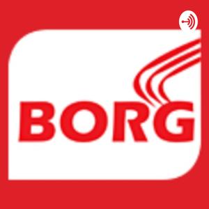 Borg Energy India Pvt Ltd