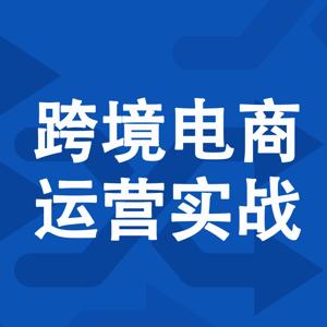 跨境电商运营实战100讲