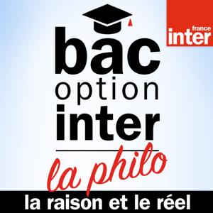 Bac Philo Option Inter - La Raison et le Réel