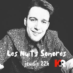 Les Nuits Sonores