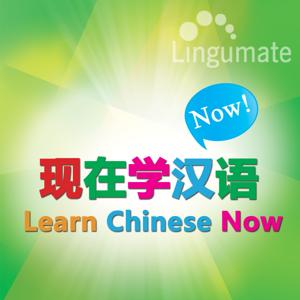 现在学汉语 Learn Chinese Now by lingumate