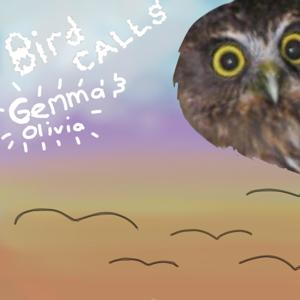 Bird Calls