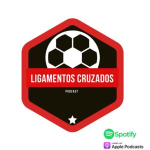 Ligamentos cruzados