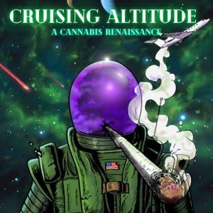 Cruising Altitude