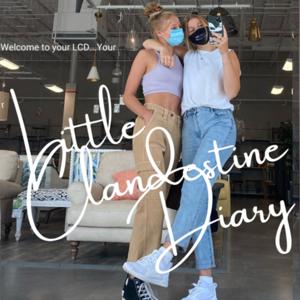 Little Clandestine Diary